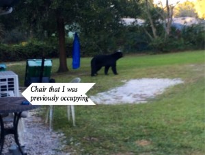 Alex makes a fabulous debut 