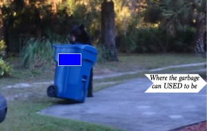 This is apparently a much better place to overturn the bin.