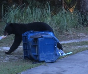 Alex' dietary preference run towards moldy bagels.