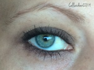 This is a good example of the opacity that you can expect from that dark brown in the Birthday Suit palette. I did do some other looks with this palette alone but they were all very "no make up make up" looks.