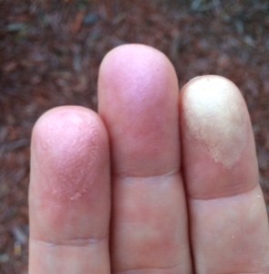 pacifica_solar_highlighter_fs