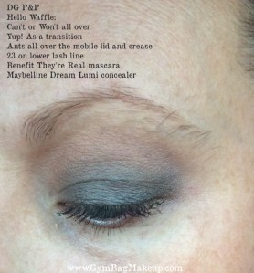 hello_waffle_ants_ce