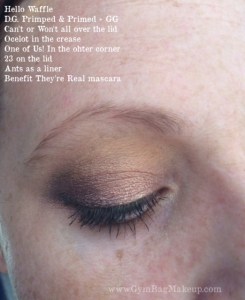 hello_waffle_unprimed_look_primed_ec