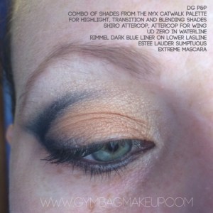 shiro_attercop_attercop_ce