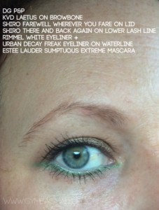 shiro_farewell_wherever_you_fare_oe