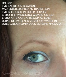 shiro_the_wandering_wizard_oe