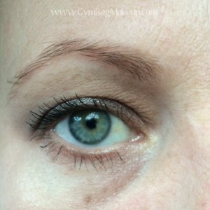 fyrinnae_dinosaur_plushie_eo_8_28