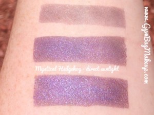 fyrinnae_mystical_hedgehog_ds