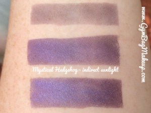 fyrinnae_mystical_hedgehog_is