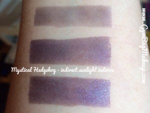 fyrinnae_mystical_hedgehog_isi