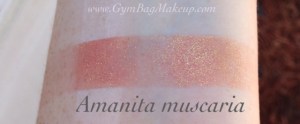 aromaleigh_amanita_muscaria_is