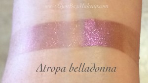 aromaleigh_atropa_belladonna_indoors