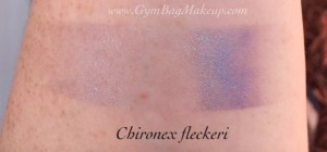 aromaleigh_chironex_fleckeri_is
