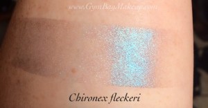 aromaleigh_chironex_fleckeri_isi
