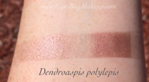 aromaleigh_dendroaspis_polylepis_ds