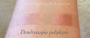 aromaleigh_dendroaspis_polylepis_indoors