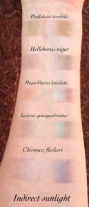 aromaleigh_fatalis_blues_is