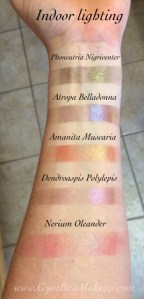 aromaleigh_fatalis_pinks_il