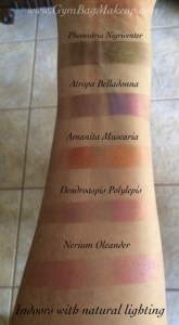 aromaleigh_fatalis_pinks_indoors