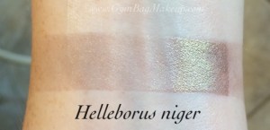 aromaleigh_helleborus_niger_al