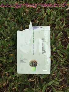 my_beauty_diary_mexico_cactus_mask
