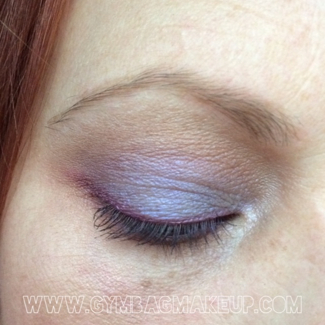 detrivore_apparatus_ec_10_27_15