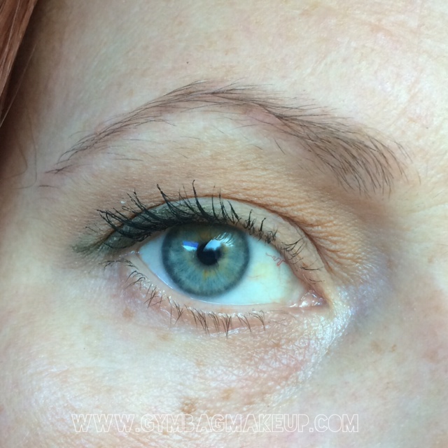 detrivore_autopsy_eo_11_5_15