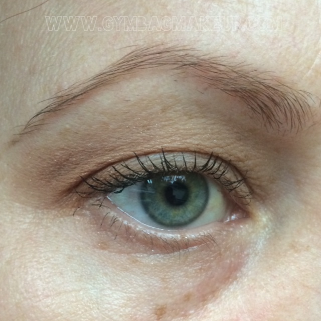 detrivore_courtier_eo_9_17_15