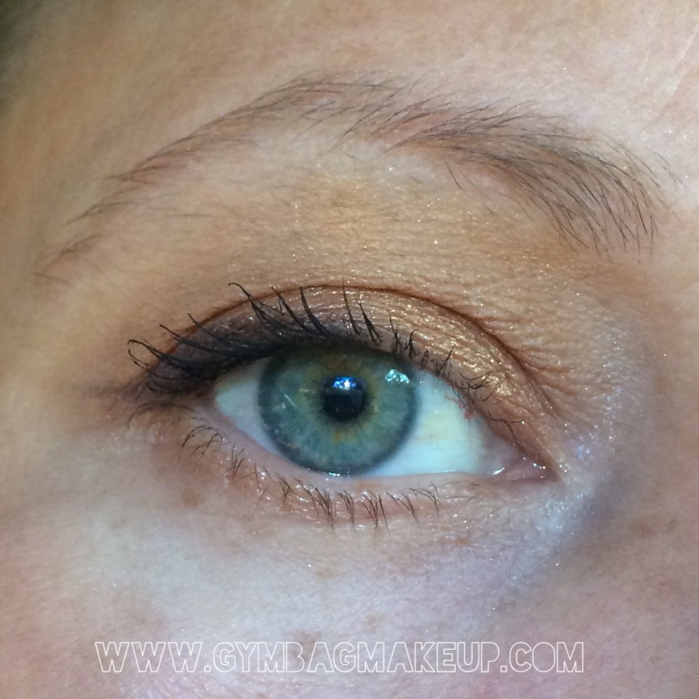 detrivore_everything_dies_eo_11_3_15