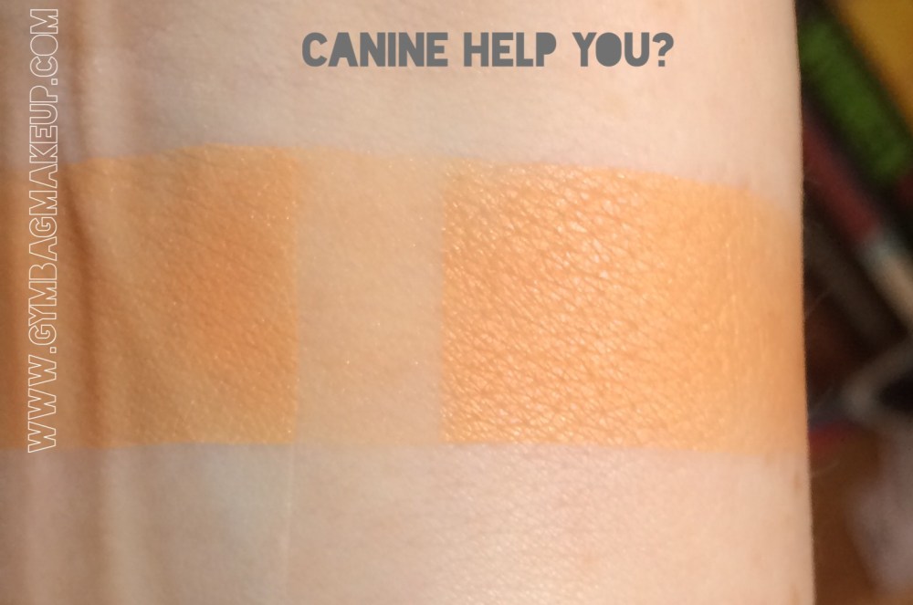 shiro_canine_help_you_ggiis