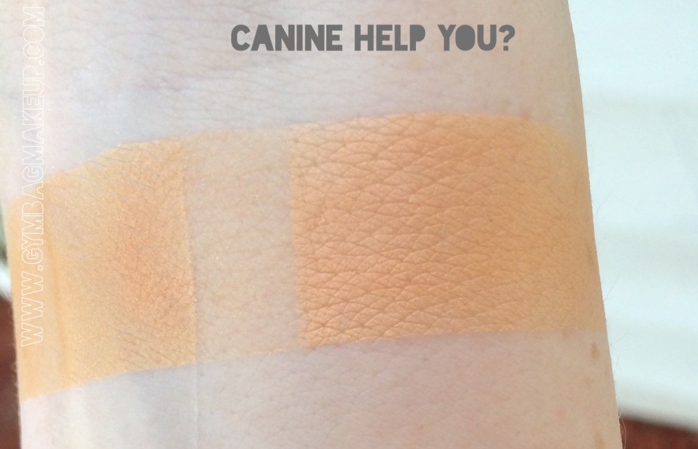 shiro_canine_help_you_ggis