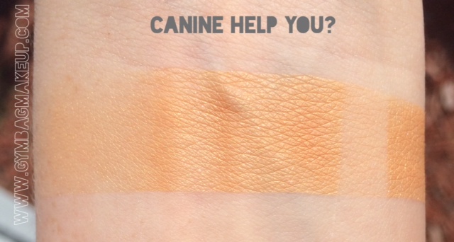 shiro_canine_help_you_pds