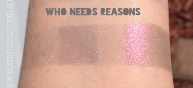 shiro_who_needs_reasons_ds