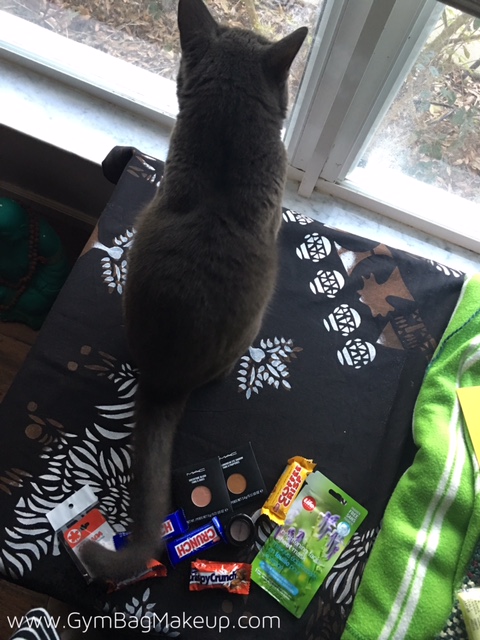 the_realities_of_blogging_with_cats